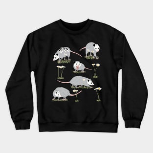 Opossums and Daisies Crewneck Sweatshirt